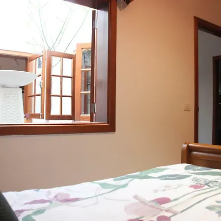 Huerto De Garachico